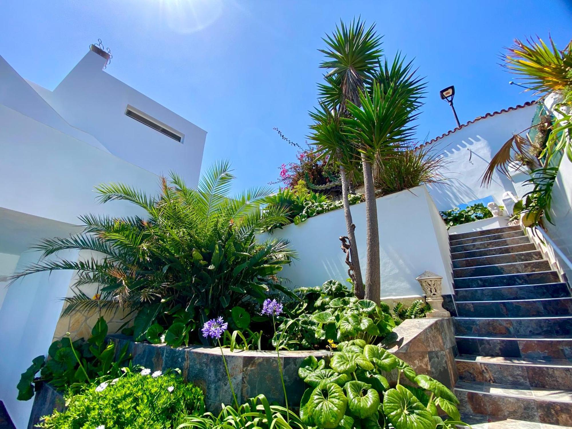 Villa Oasis La Paz - Pelinor Studio - Adults Only Пуэрто-де-ла-Крус Экстерьер фото