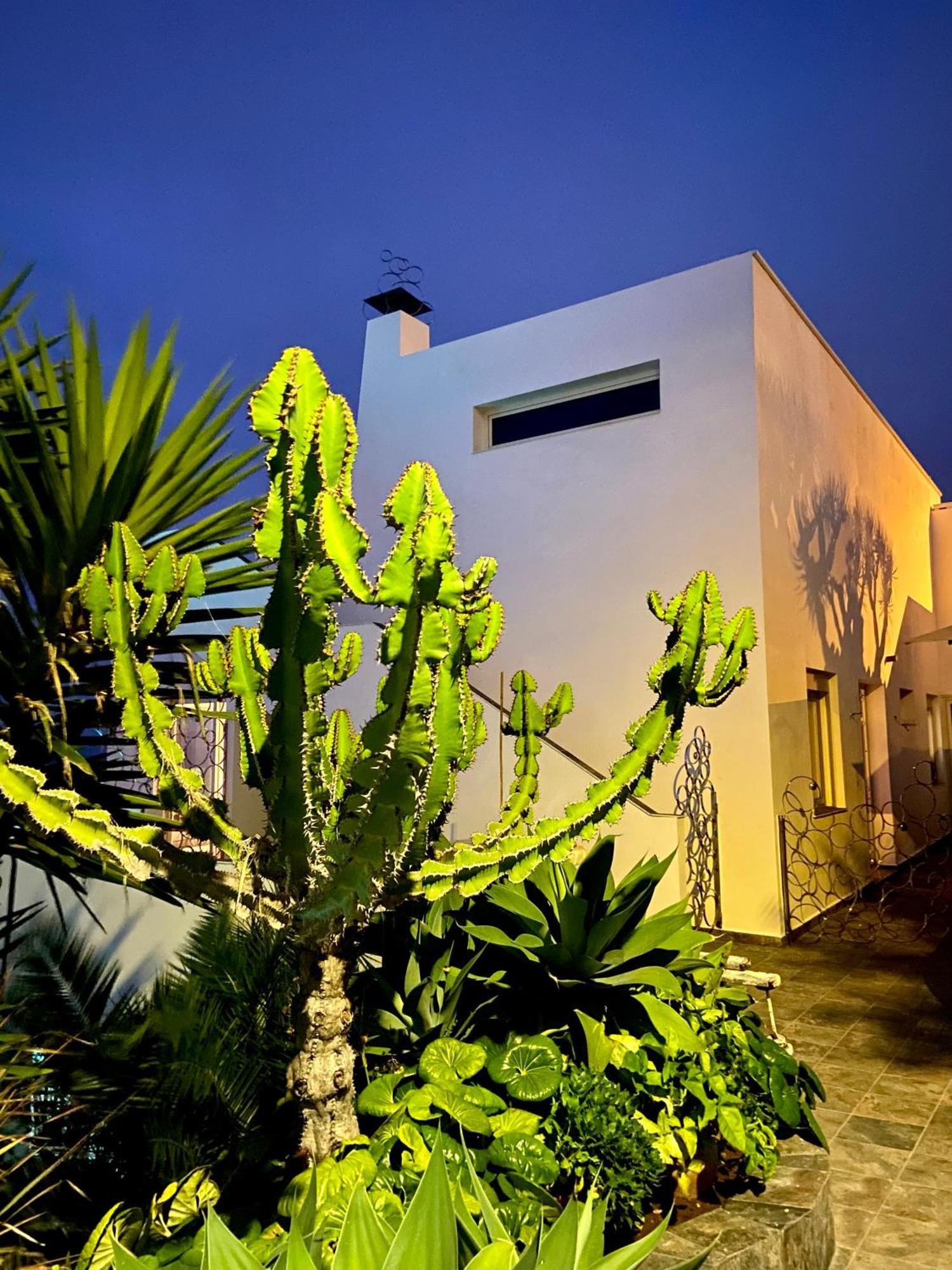 Villa Oasis La Paz - Pelinor Studio - Adults Only Пуэрто-де-ла-Крус Экстерьер фото